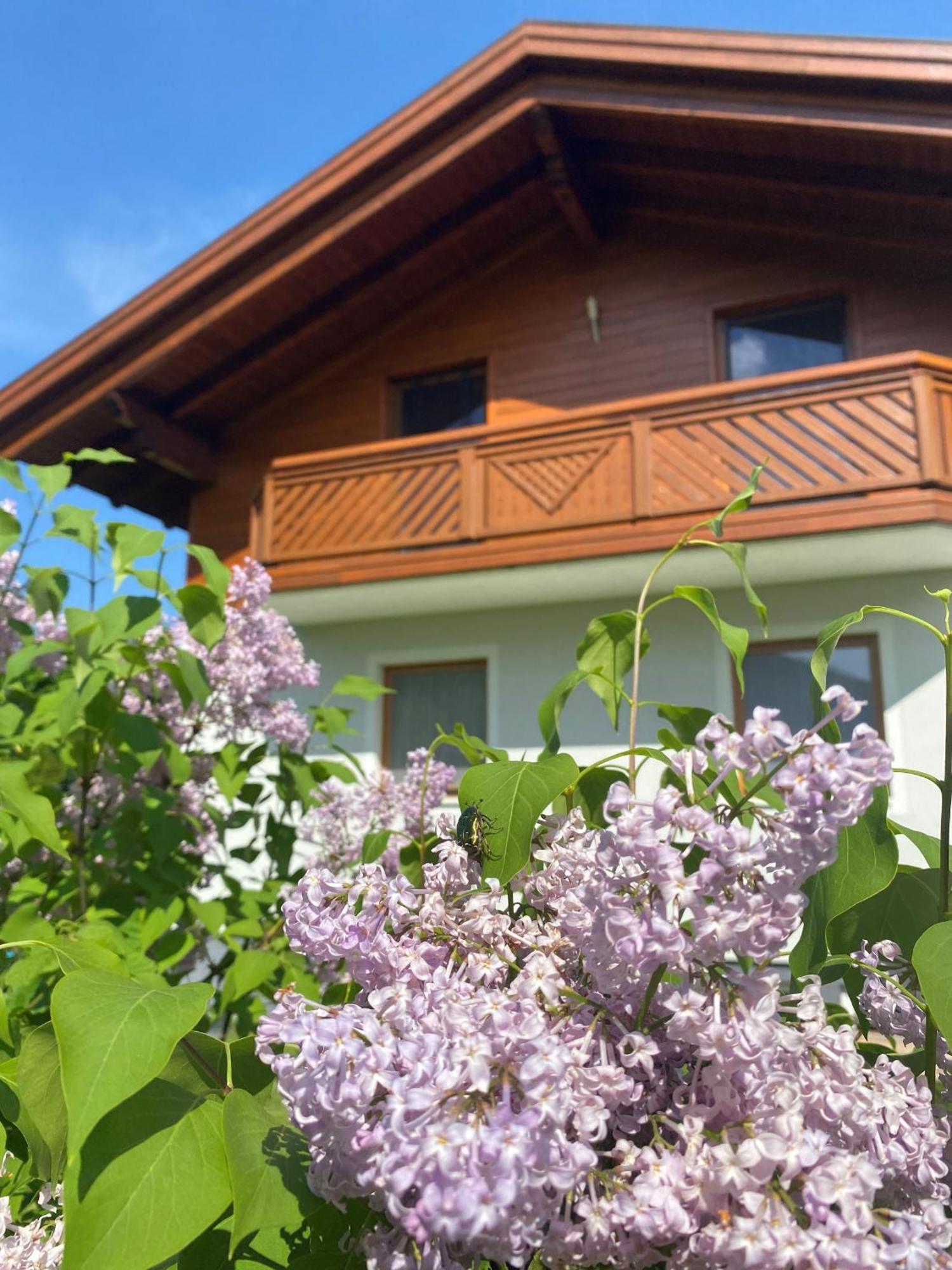 Chalet Panoramablick Zell Am See别墅 外观 照片