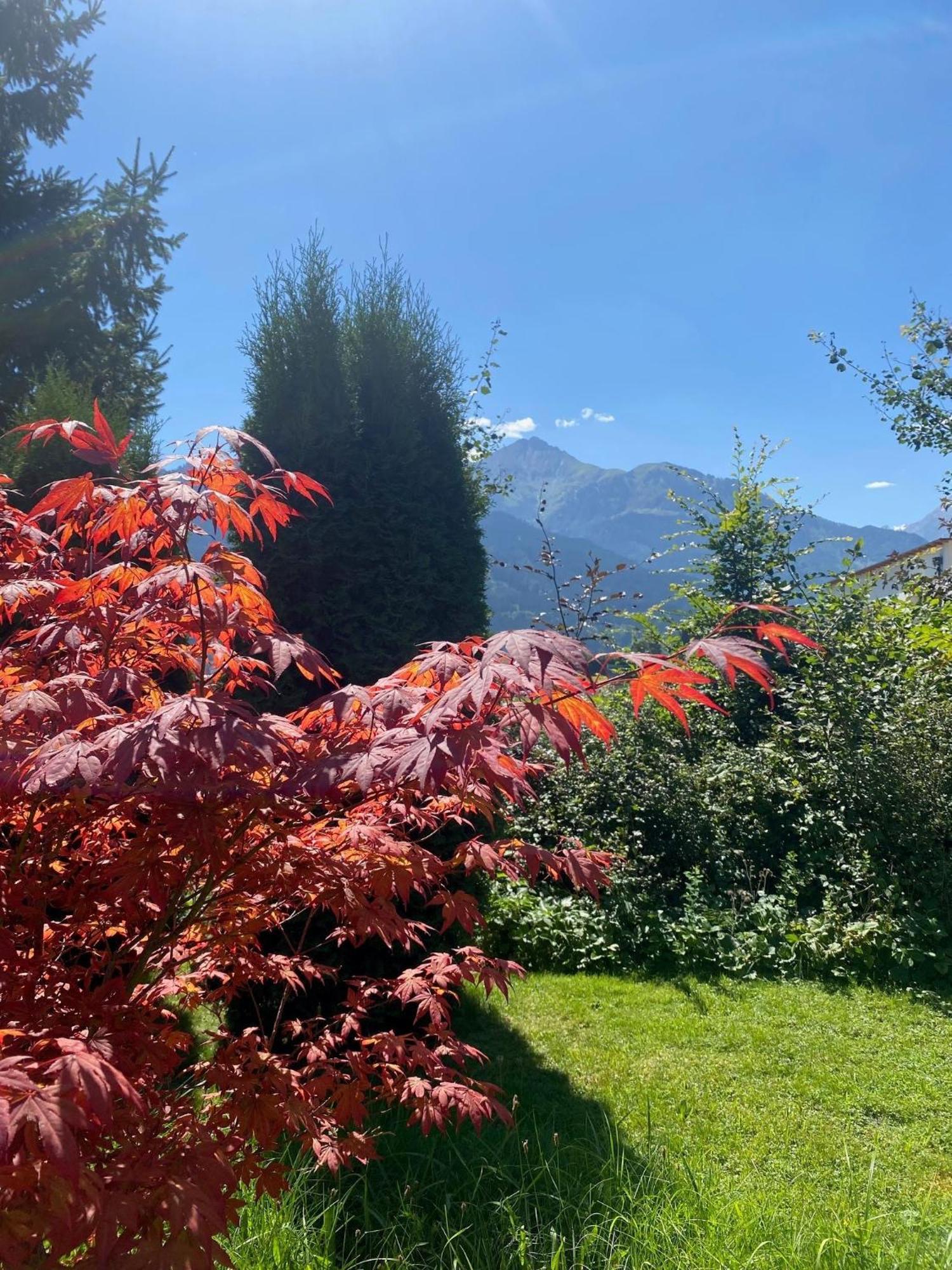 Chalet Panoramablick Zell Am See别墅 外观 照片